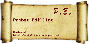 Probst Bálint névjegykártya