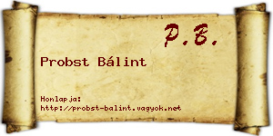 Probst Bálint névjegykártya